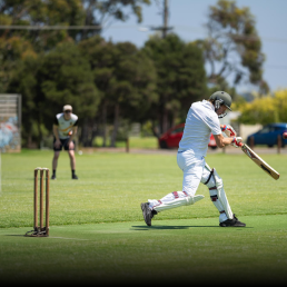 Cricket Pitch