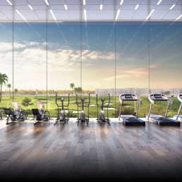 Fitness & Wellness