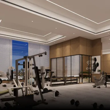 Gymnasium
