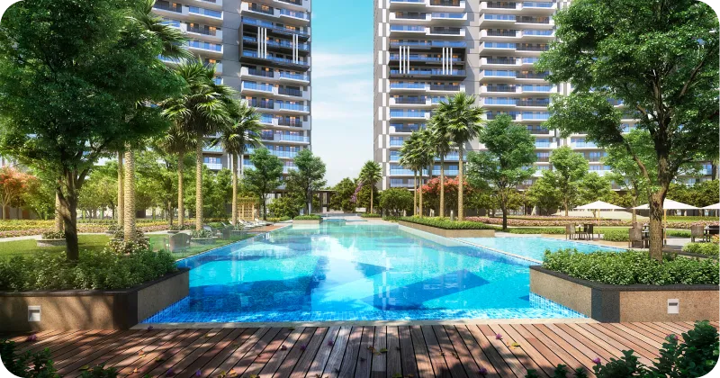 Open Planning That Supports Everyday Living