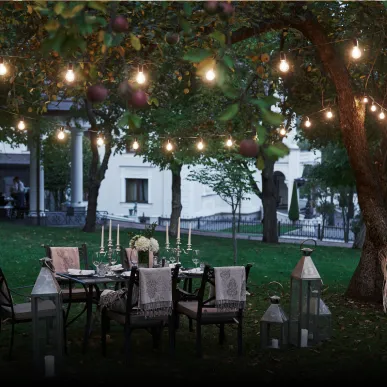 Party Lawn