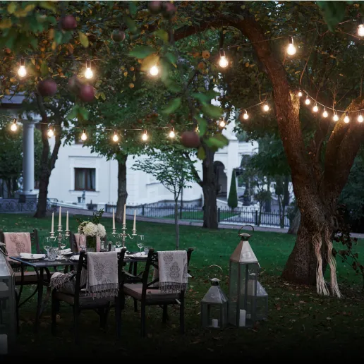 Party Lawn