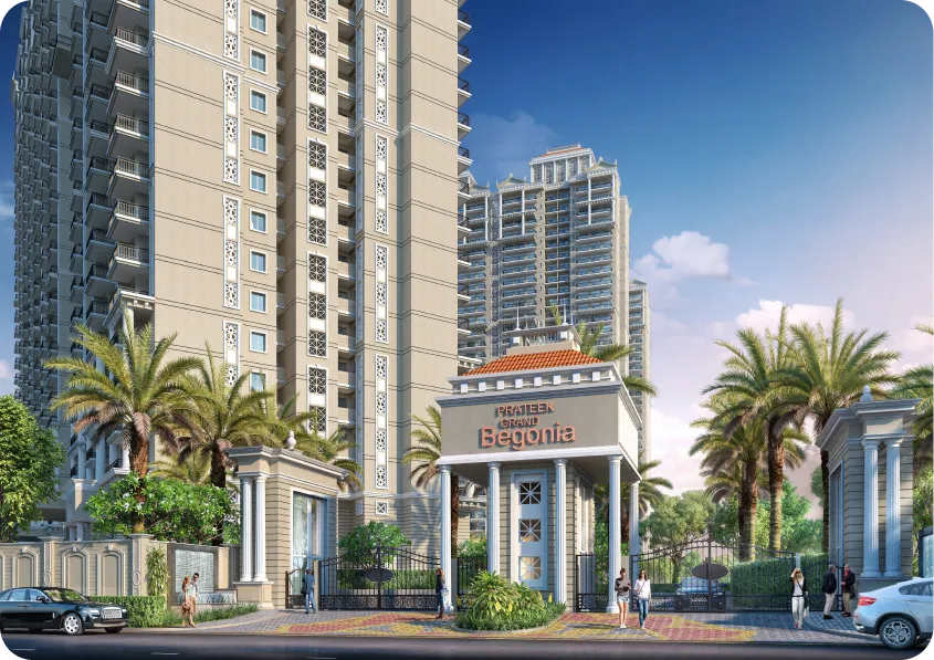 Prateek Grand Begonia