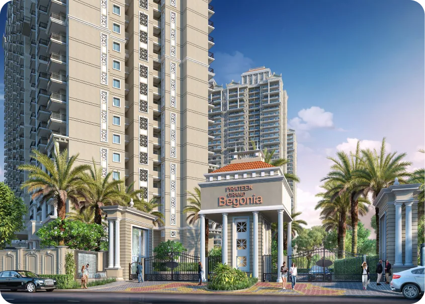 Prateek Grand Begonia