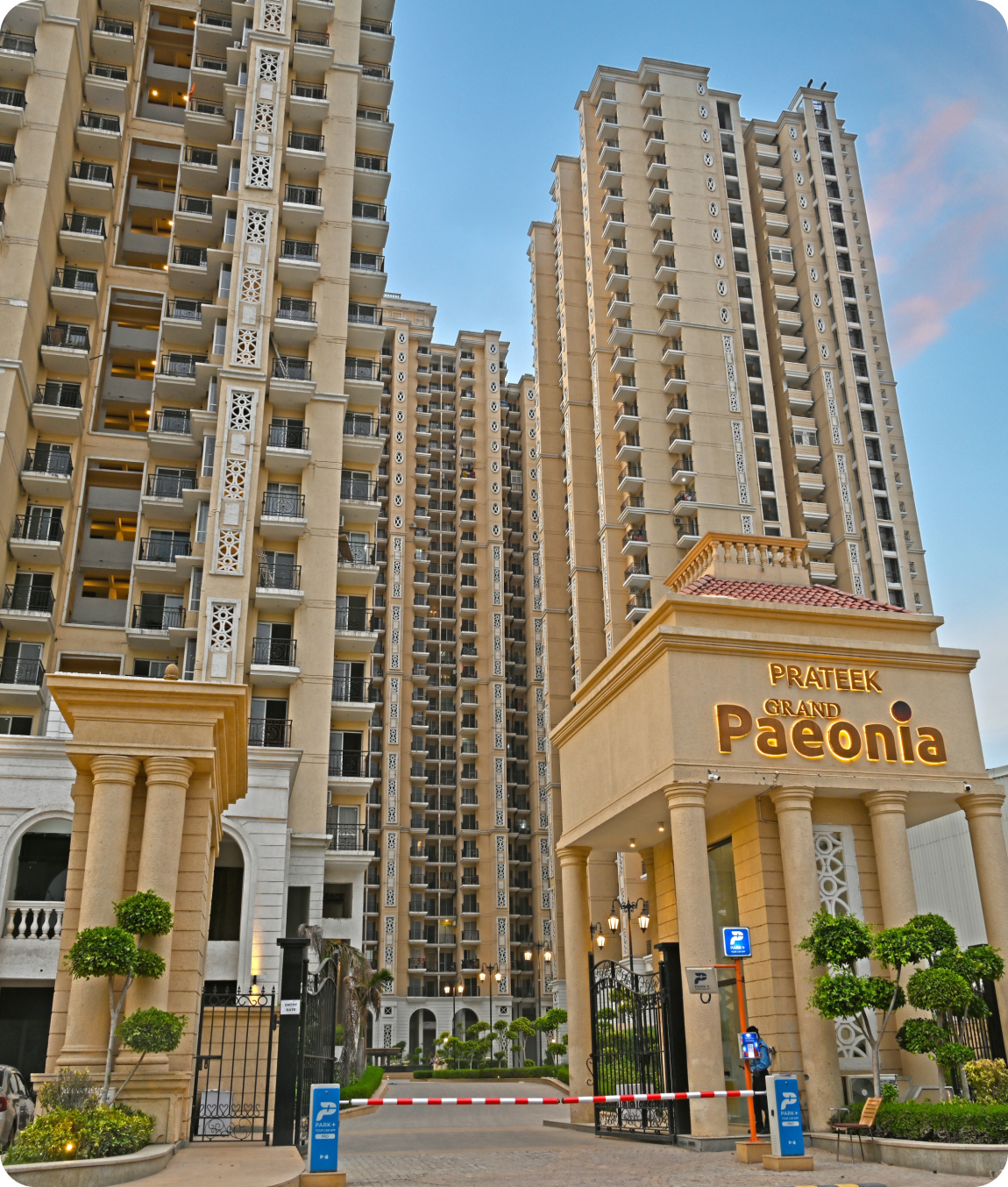 Prateek Grand Paeonia