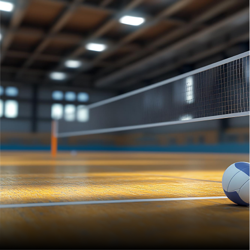 Volleyball court