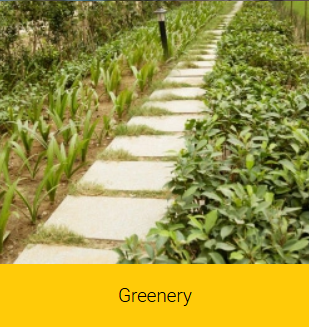 greenary