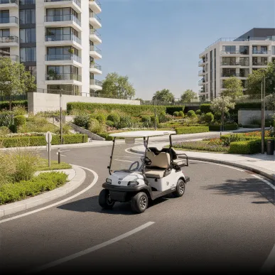 Golf Cart Service