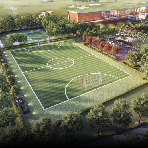 Multi-use sports field