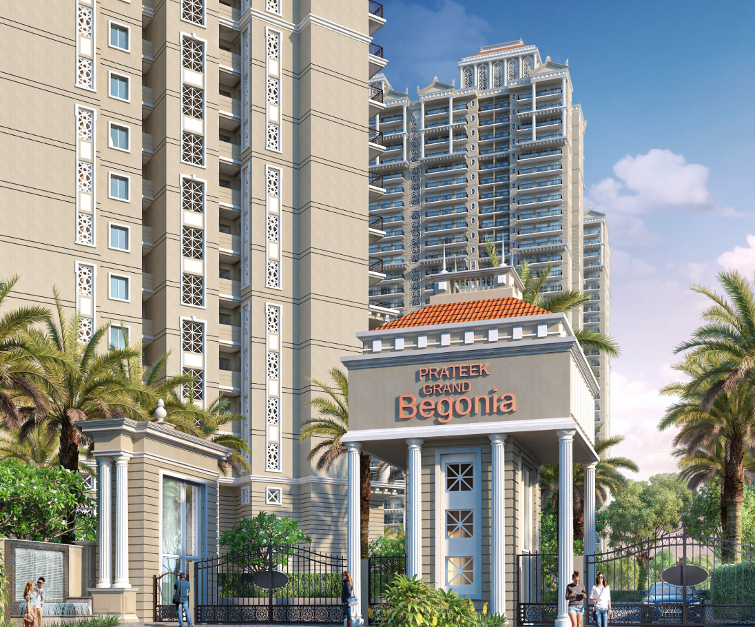 Prateek Grand Begonia