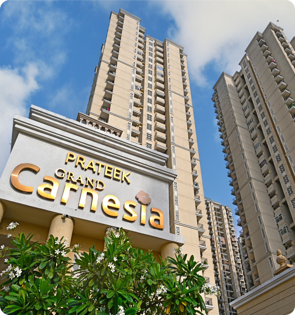Prateek Grand Carnesia