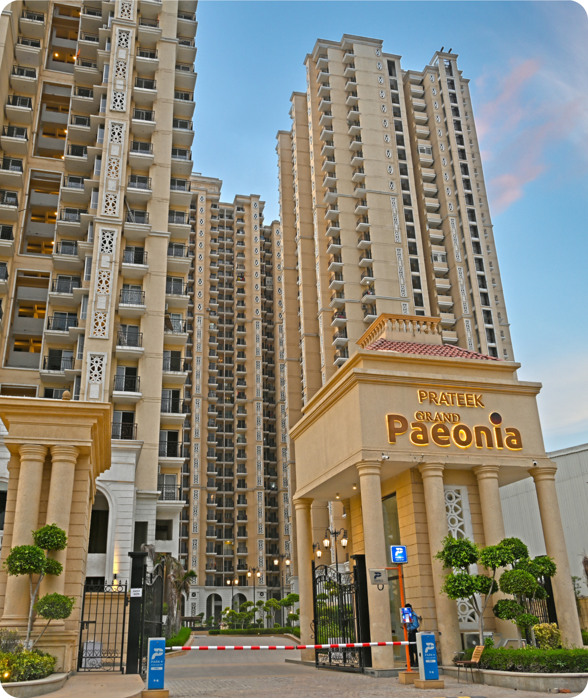 Prateek Grand Paeonia