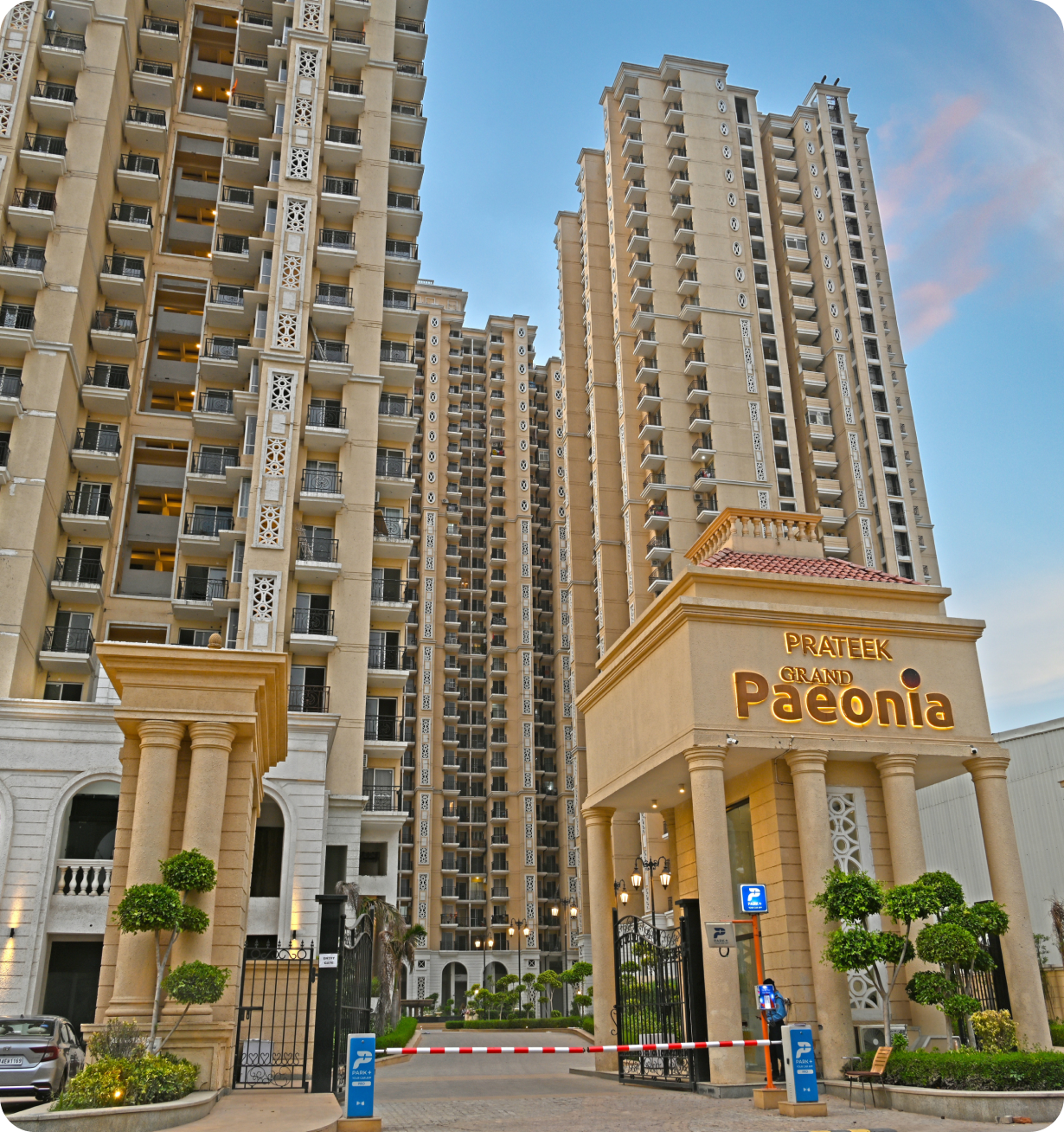 Prateek Grand Paeonia