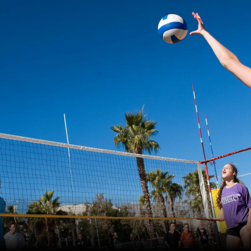 Volleyball court