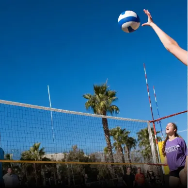 Volleyball court