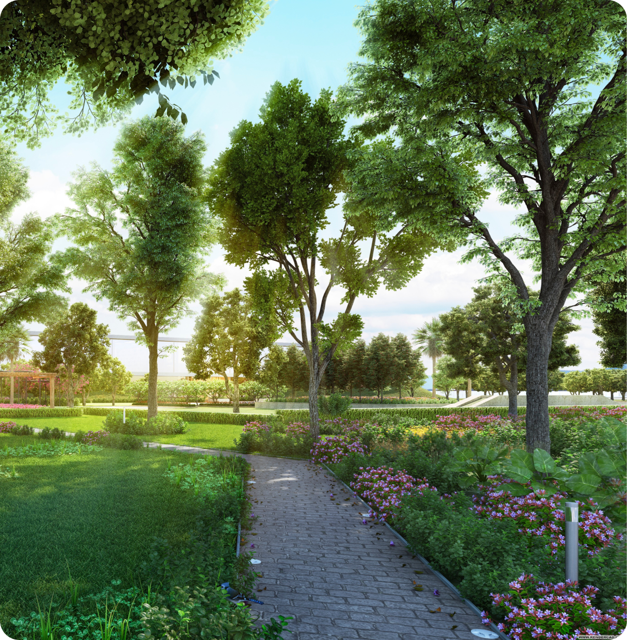 Wellness Starts with the Layout, Here’s How We Plan It
