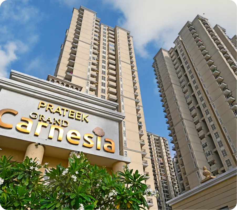 carnesia new