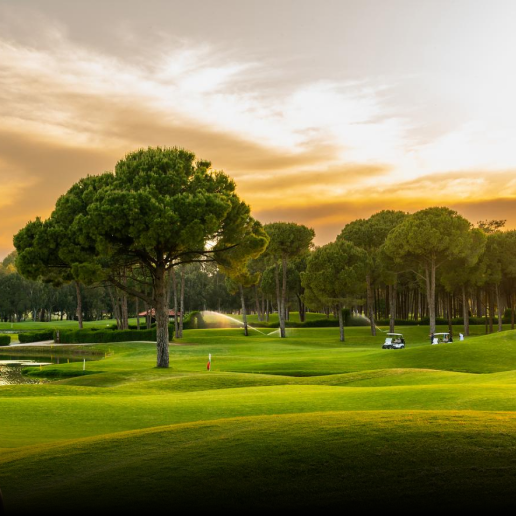 golf course