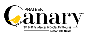 canary logo