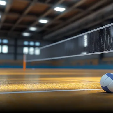 Volleyball court
