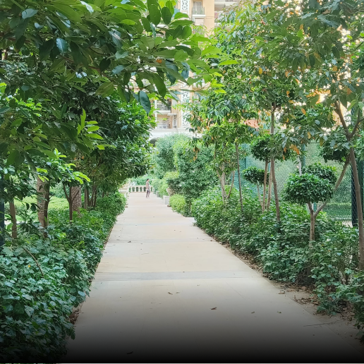Landscaped Pathways