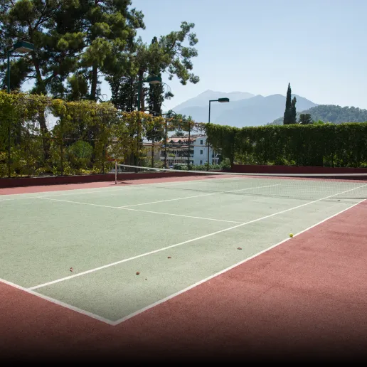 Lawn Tennis Court